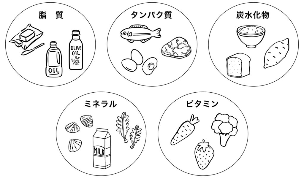 栄養素