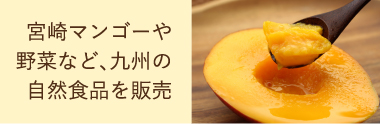 タマチャンヒストリー
