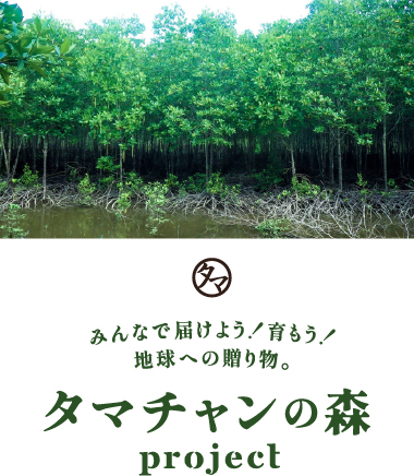 タマチャンヒストリー