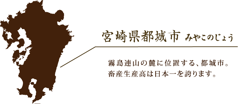 ܺ긩Ծ