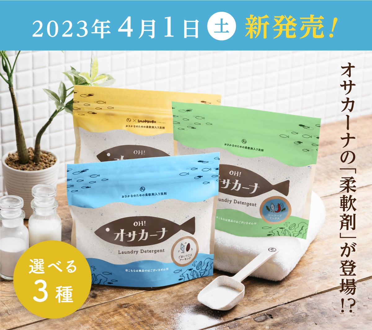 2023年4月1日新発売！