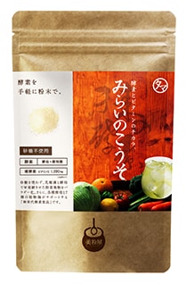 みらいのこうそ