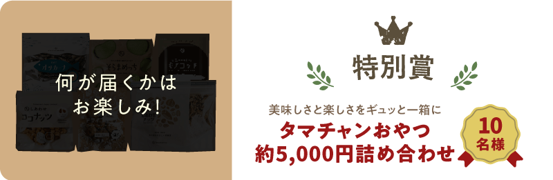 特別賞イメージ