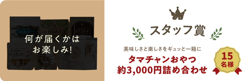 スタッフ賞イメージ