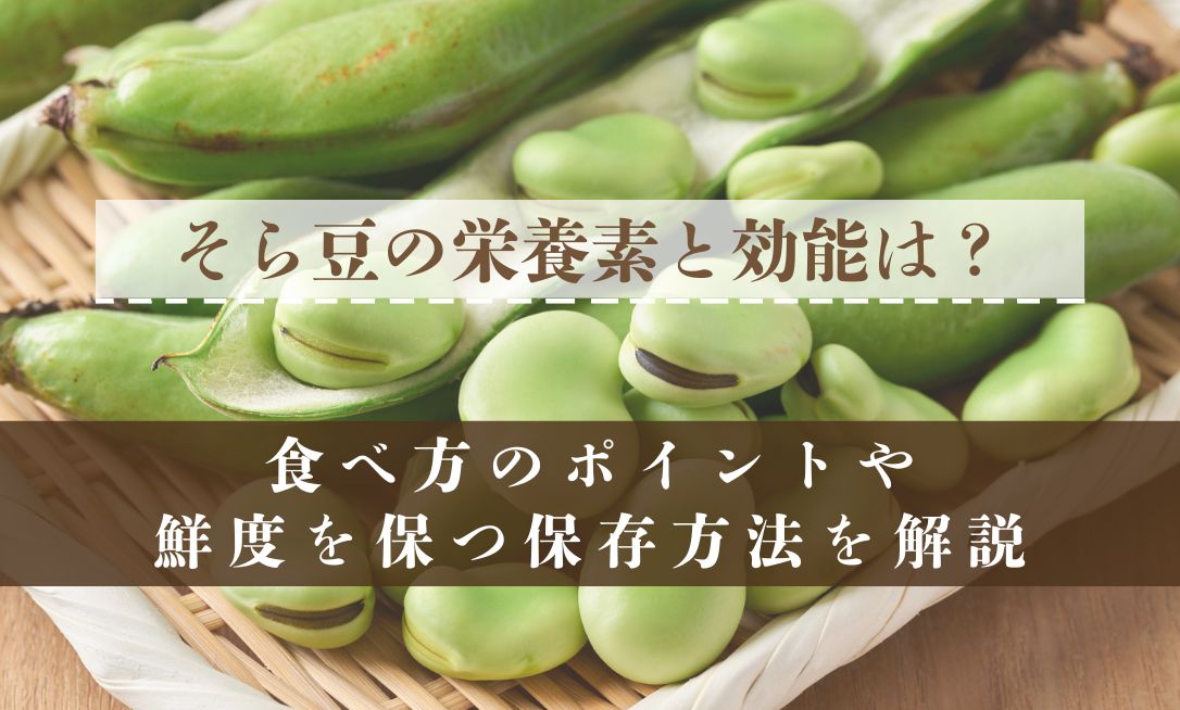そら豆の栄養素と効能は？食べ方のポイントや鮮度を保つ保存方法を解説
