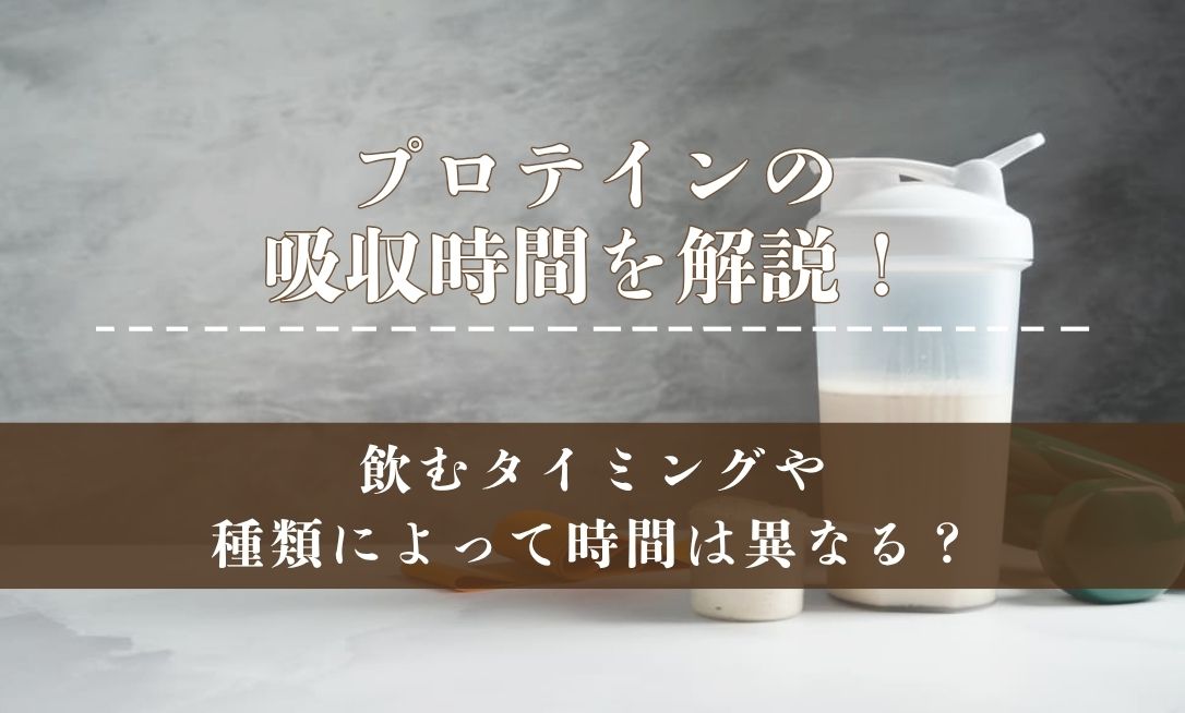 プロテインの吸収時間を解説！飲むタイミングや種類によって時間は異なる？