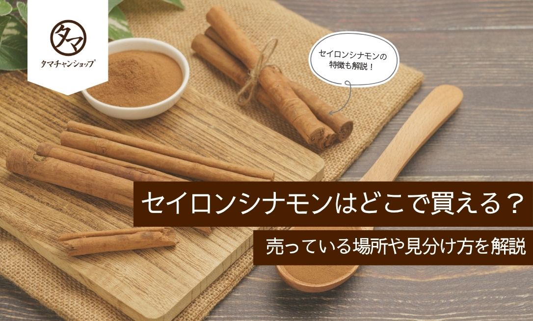 セイロンシナモンはどこで買える？売っている場所や見分け方を解説