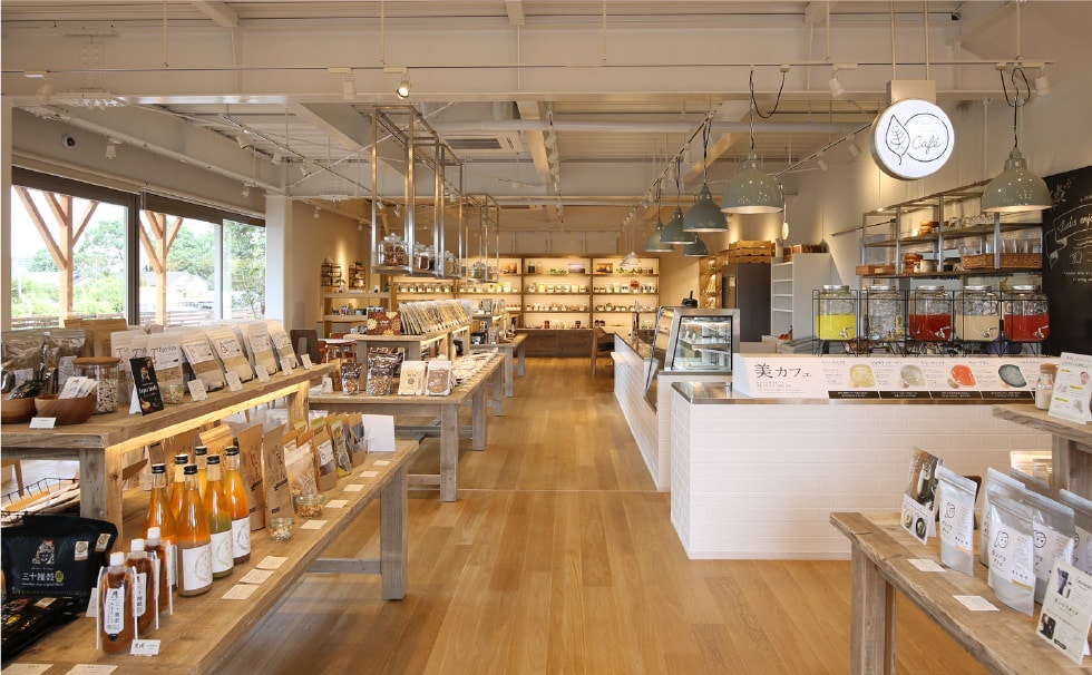 自然エネルギープラント建設支援