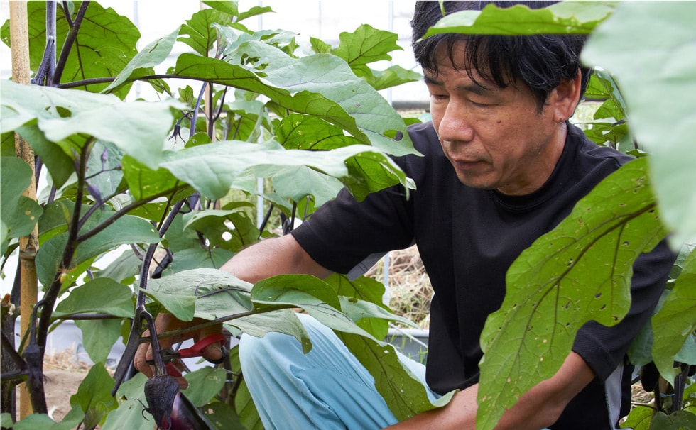生産における環境への取り組み
