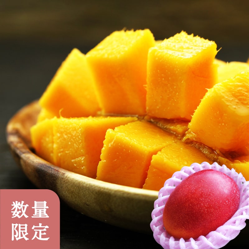 太陽のタマゴ大玉1玉