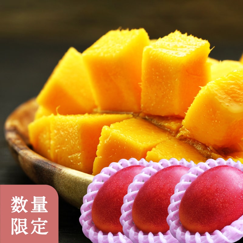 太陽のタマゴ大玉3玉