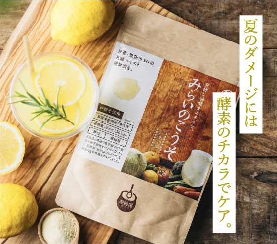 みらいのこうそ
