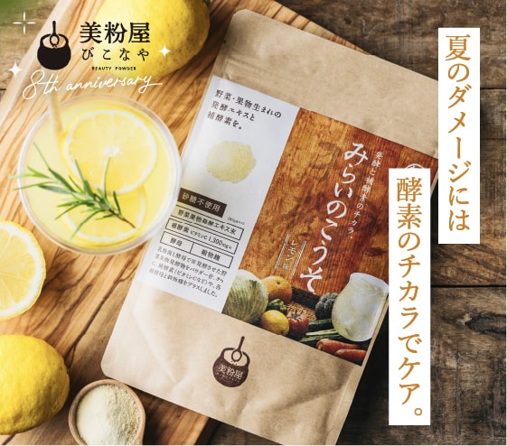 みらいのこうそ