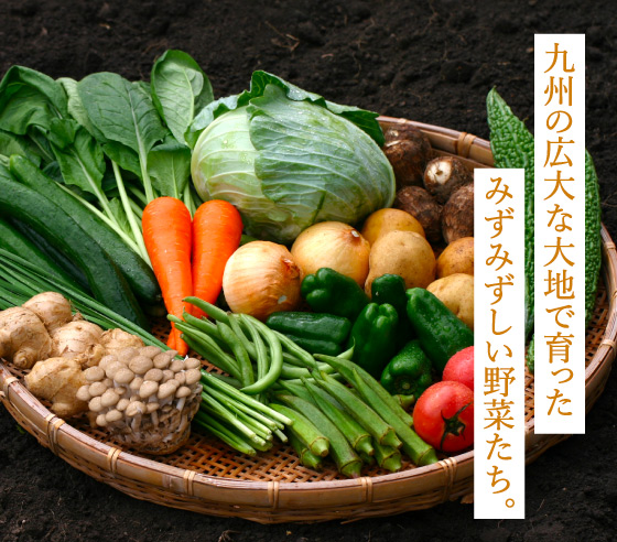 野菜セット