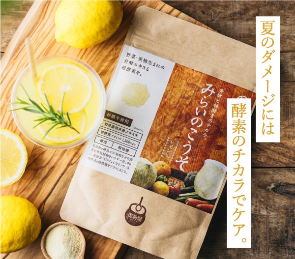 みらいのこうそ