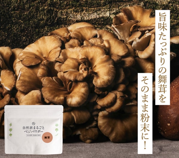 舞茸粉末