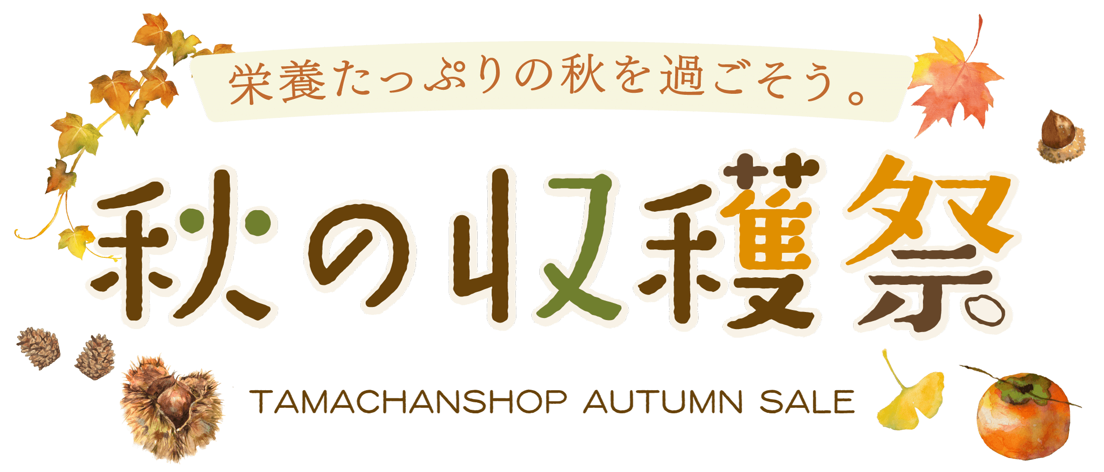 秋の収穫祭SALE
