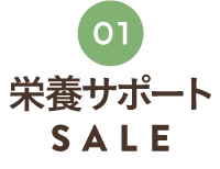 栄養サポートSALE