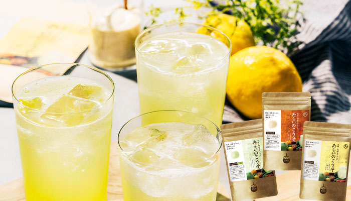 みらいのこうそ3種セット