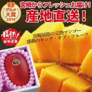 日向夏みかん（種無し）11玉～13玉入り | タマチャンショップ