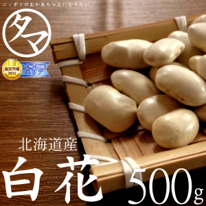 在来種北海道産｜白花豆販売 - 築地の豆屋三栄商会