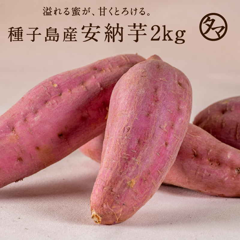 種子島産安納芋2kgサムネイル01