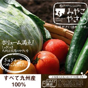 銀杏（ぎんなん）500g | タマチャンショップ 公式オンラインストア