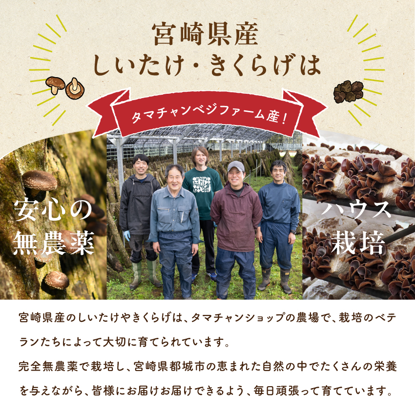 きくらげ（木耳）スライスサムネイル01