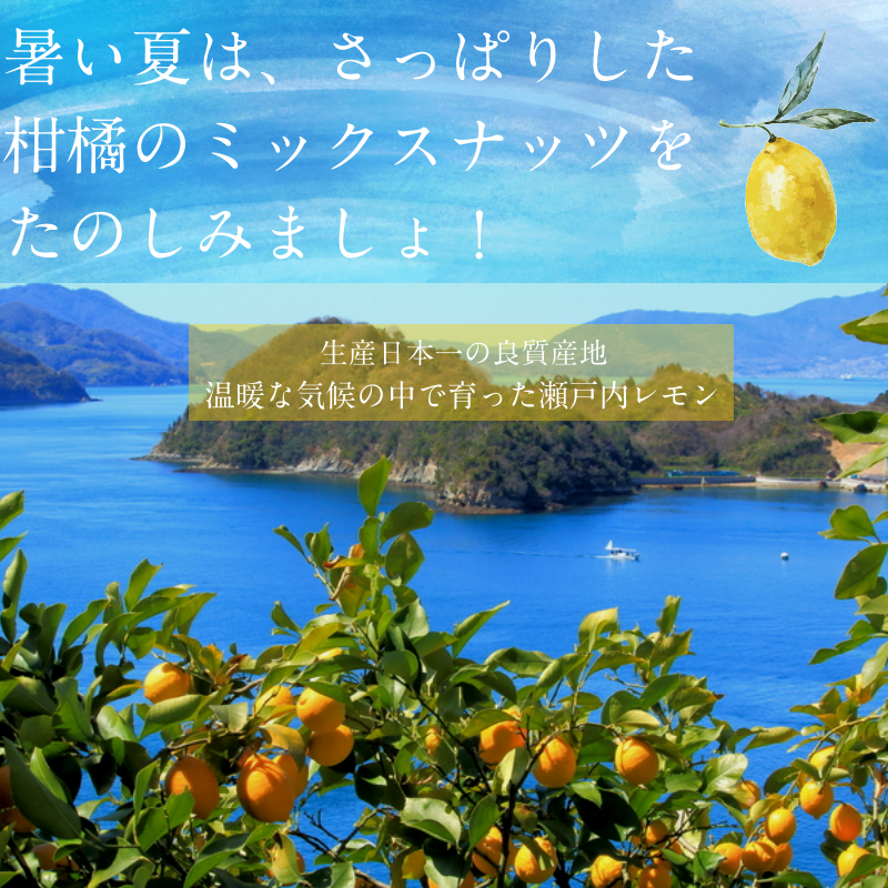 ミックスナッツ ちょっぴり塩レモン味サムネイル01