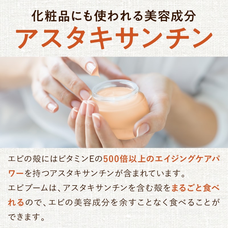 エビブームサムネイル01