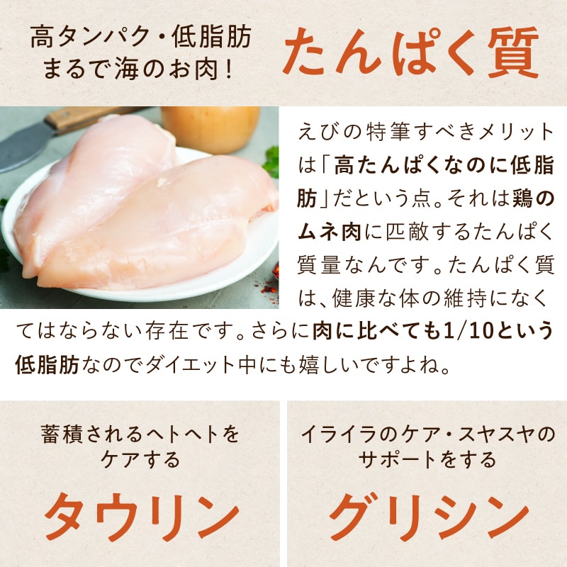 エビブームサムネイル01