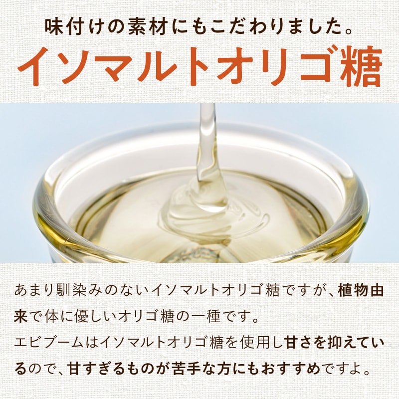 エビブームサムネイル01