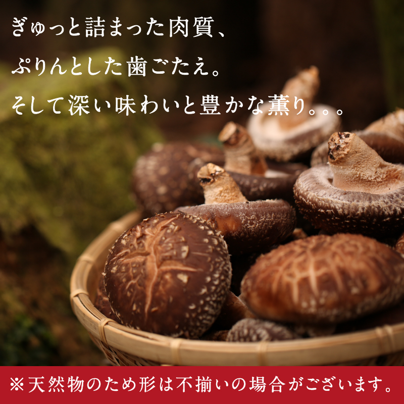 宮崎県産生しいたけサムネイル01