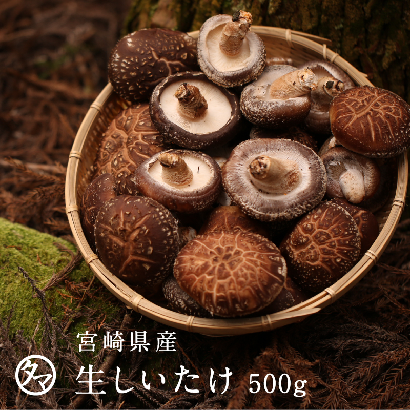 宮崎県産生しいたけサムネイル01