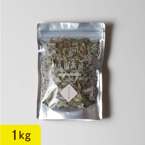 ウラジロガシサムネイル01