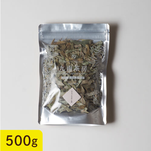 ウラジロガシサムネイル01