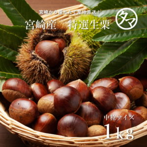 訳あり完熟マンゴー約5kg | タマチャンショップ 公式オンライン