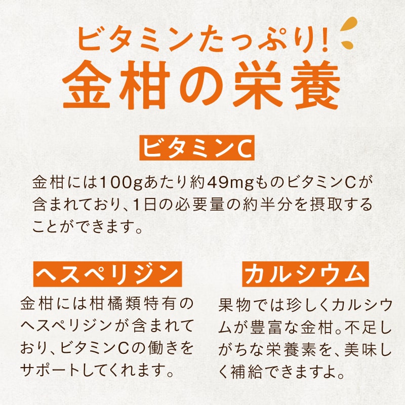 鉄コンピ 金の卵編 Vol.2 | HMV&BOOKS online - SRCD-18