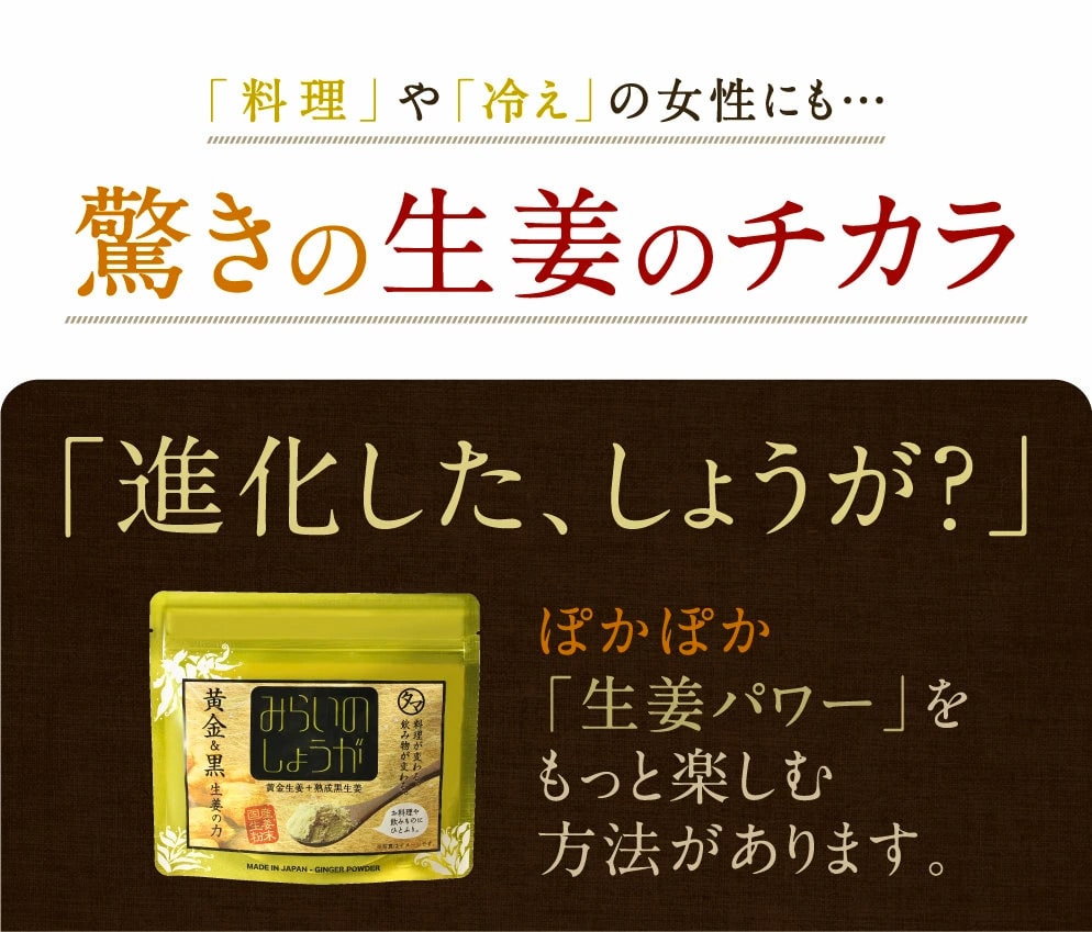 みらいのしょうが【黄金生姜粉末】 | タマチャンショップ  公式オンラインストア｜タマチャンショップは毎日の食事で体の中から健康・美容・ダイエットを目指す方への自然食品ショップ » みらいのしょうが【黄金生姜粉末 】