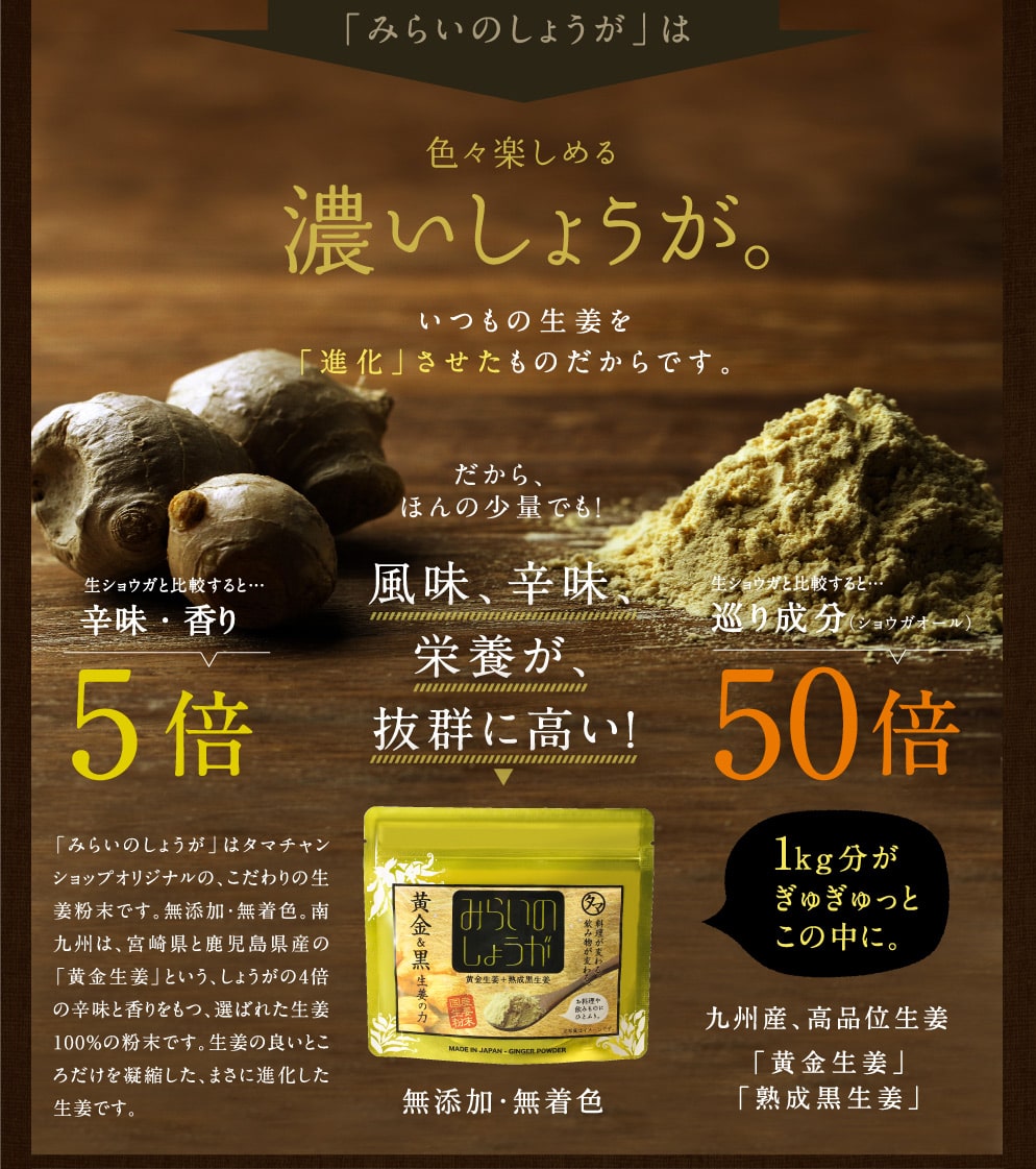 みらいのしょうが
