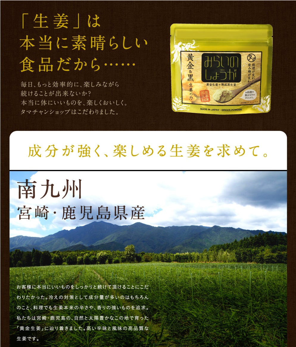 みらいのしょうが