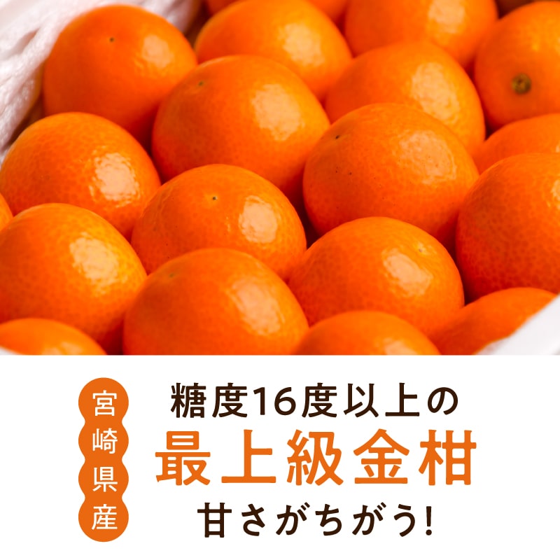 宮崎金柑たまたま3L 1kg(箱入り)