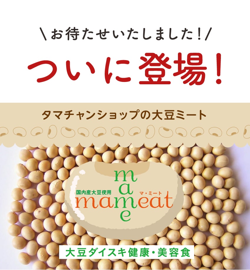 マ・ミート(大豆ミート)