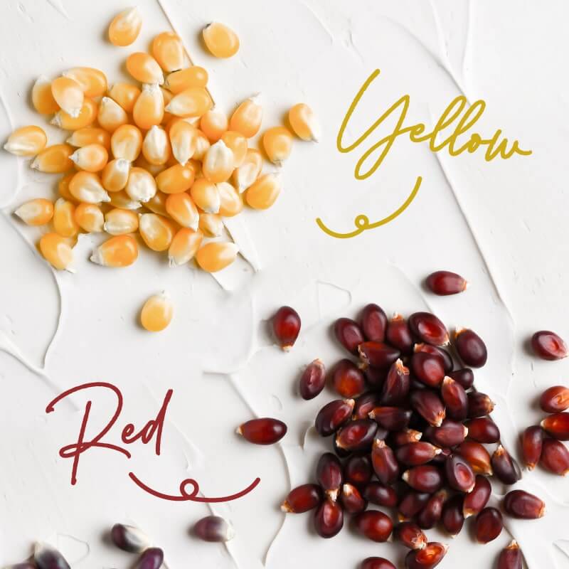 しあわせオーガニックポップコーンサムネイル01