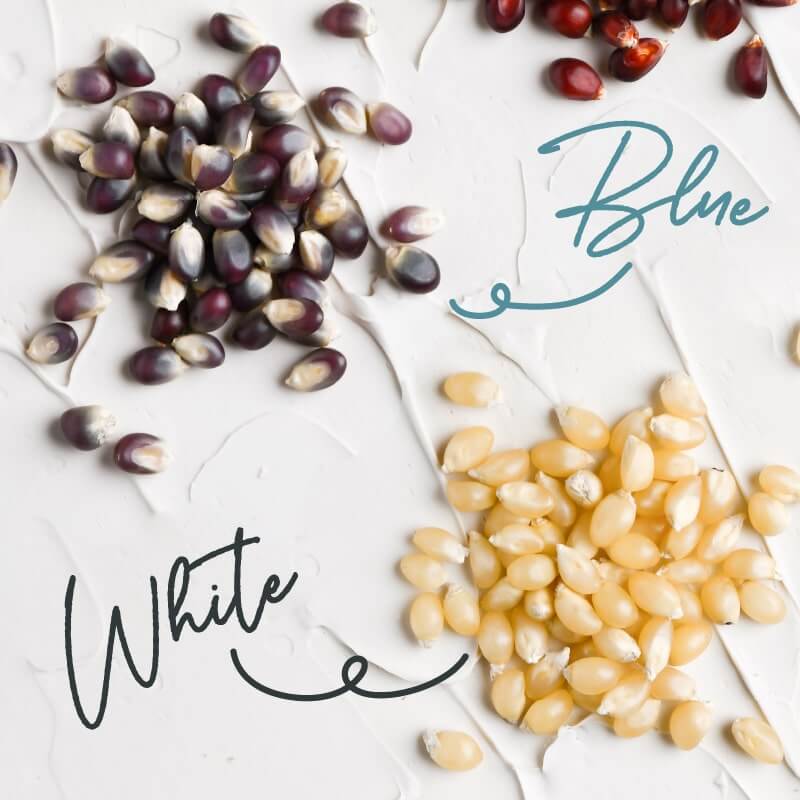 しあわせオーガニックポップコーンサムネイル01