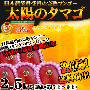 太陽のタマゴ（マンゴー）2.5kg | タマチャンショップ 公式