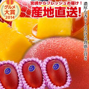 宮崎完熟マンゴー　大玉　家庭用　６玉セット　　2.7 k ② 楽天市場】【送料無料】宮崎完熟マンゴー大玉6玉宮崎からお届け