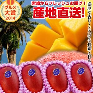 宮崎完熟マンゴー大玉6玉 | タマチャンショップ 公式オンライン