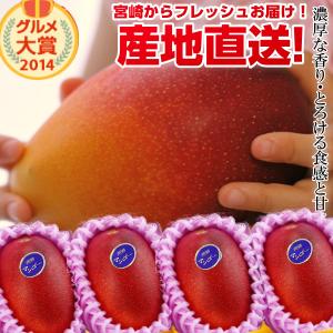 宮崎県より産地直送 JAみやざき宮崎中央地区本部 完熟ミニ