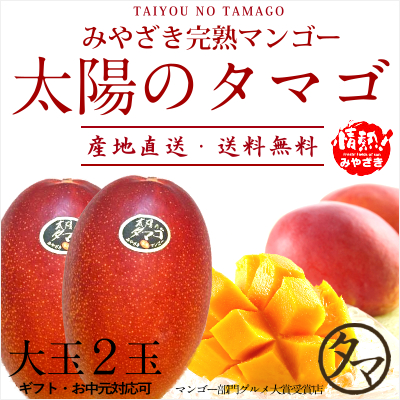 ラップ　【大きめサイズ】　コメントok 摘果マンゴー　10kg 2025年 発送】しあわせ完熟マンゴー2～3玉入り(022-1769